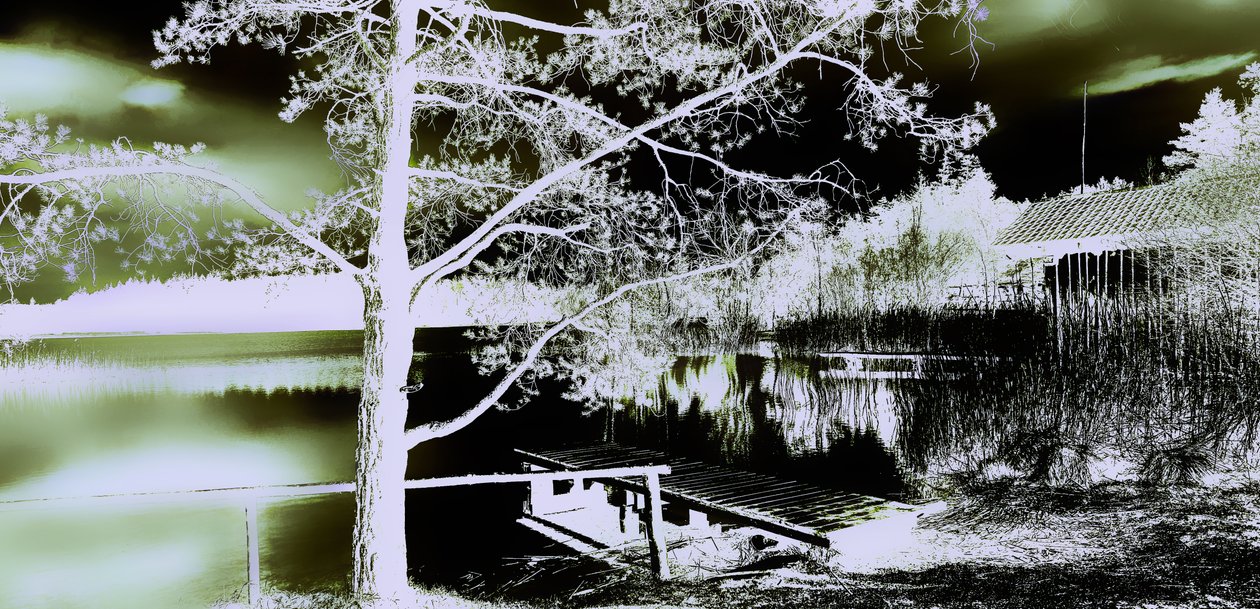 Secret Garden,2019,(photography) 作者 亚历克斯·卡明克
