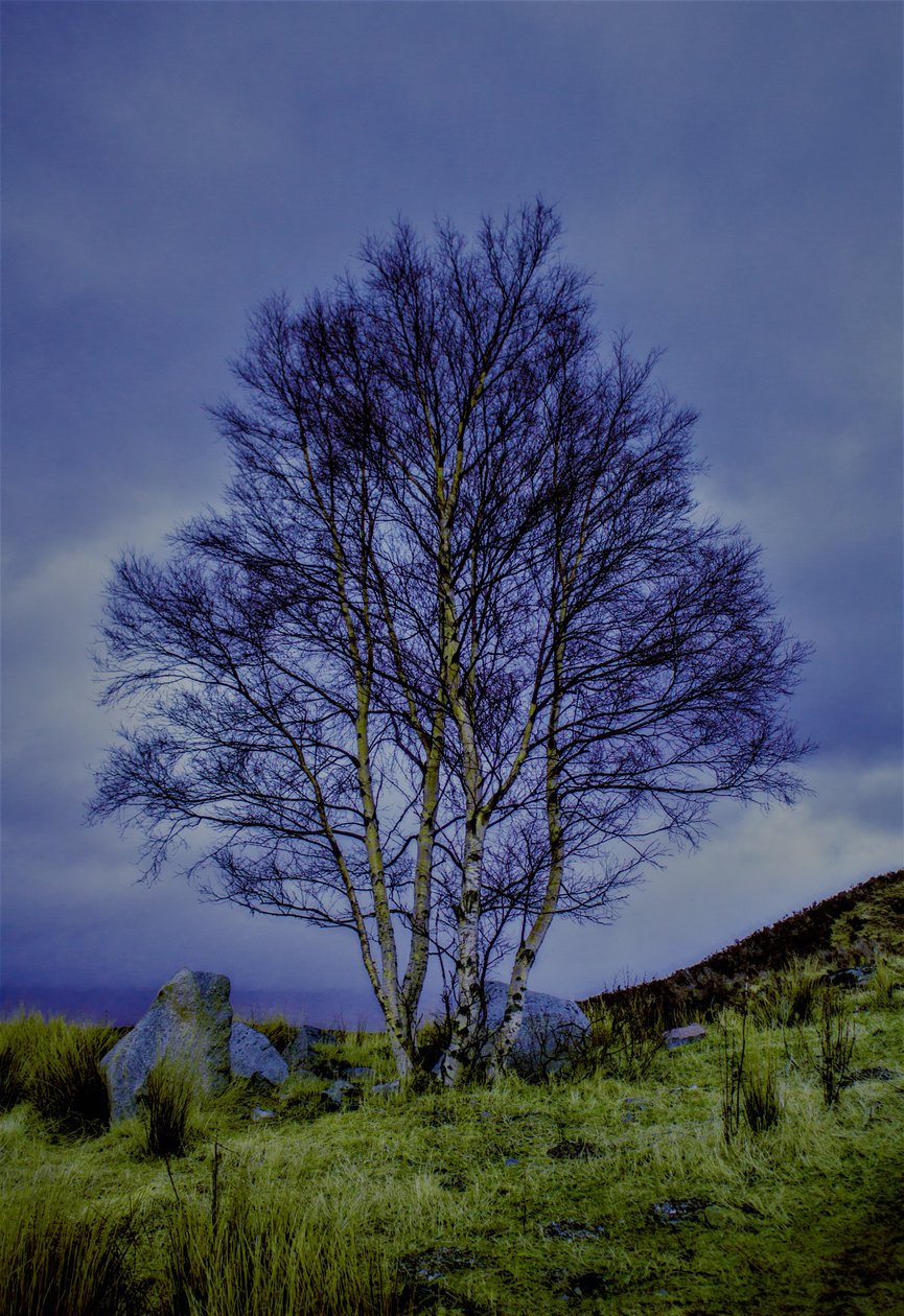 Two-colours landscape,2019,(photography) 作者 亚历克斯·卡明克