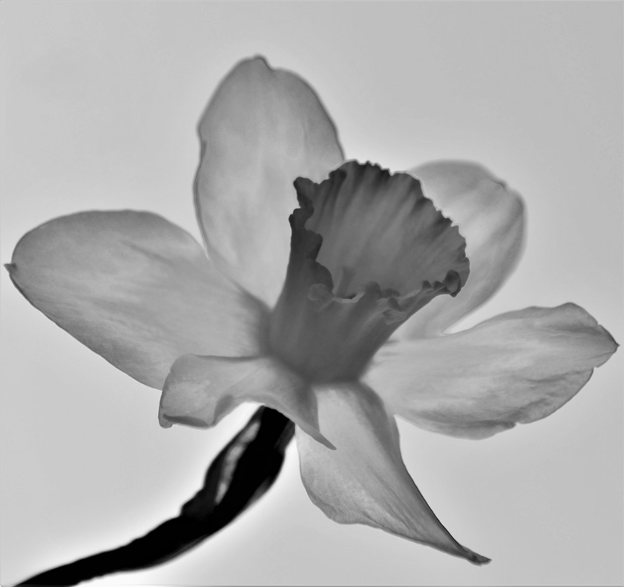 Untitled,2019,(photography) 作者 亚历克斯·卡明克