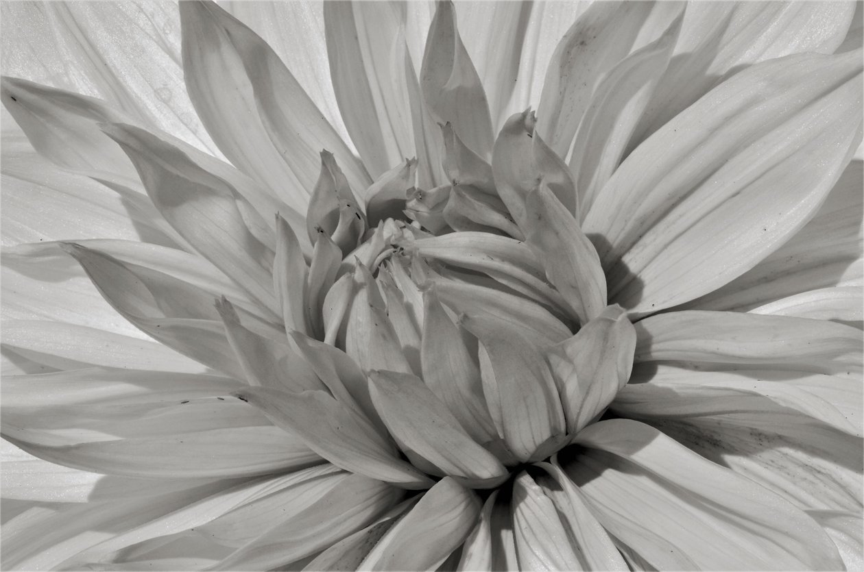Untitled,2019,(photography) 作者 亚历克斯·卡明克