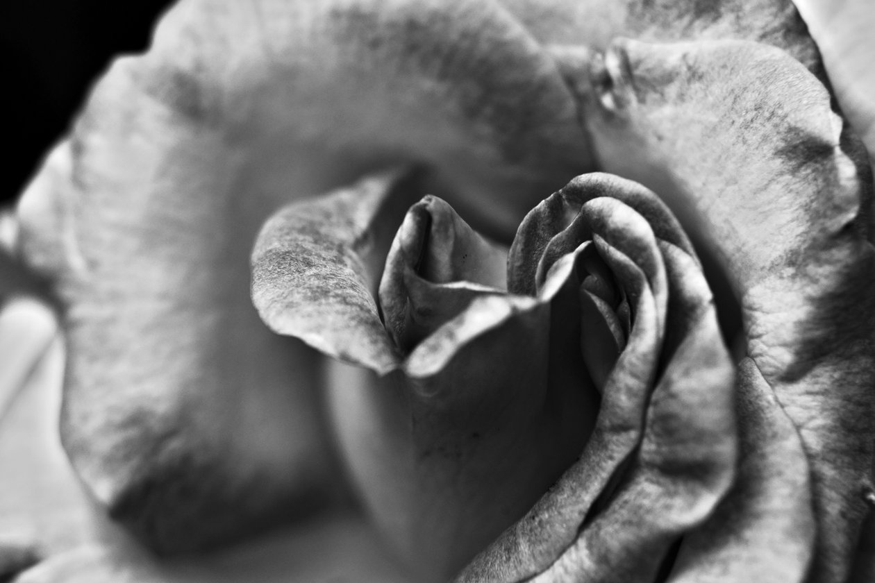 Untitled,2019,(photography) 作者 亚历克斯·卡明克