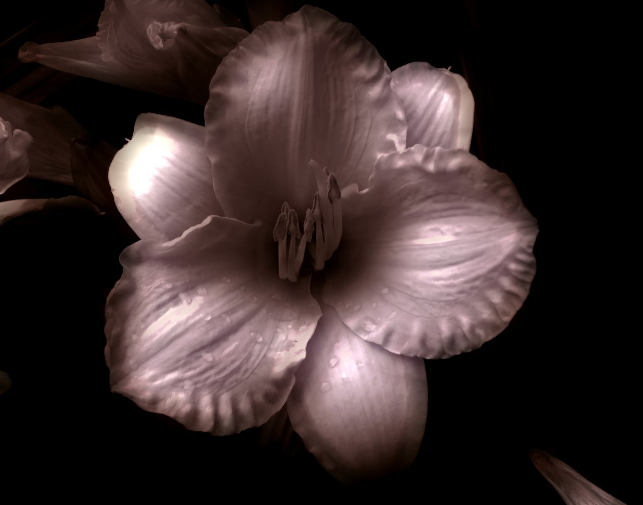 Untitled,2019,(photography) 作者 亚历克斯·卡明克