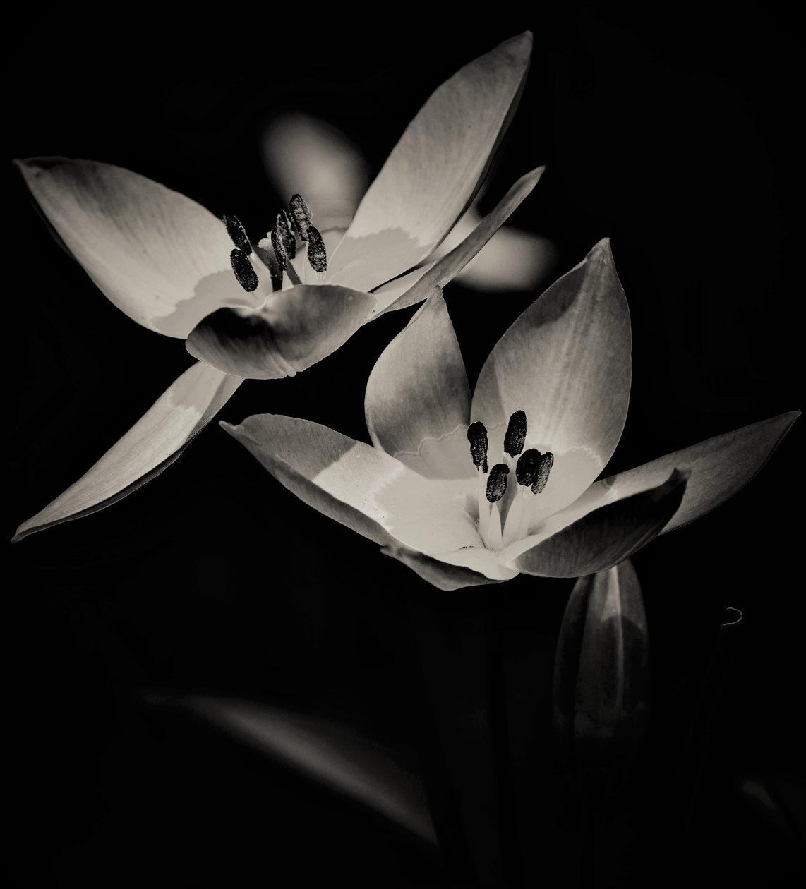 flight,2019,(photography) 作者 亚历克斯·卡明克