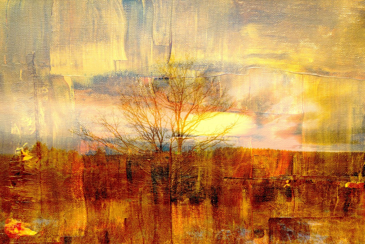 golden fog,2019,(mixed media) 作者 亚历克斯·卡明克