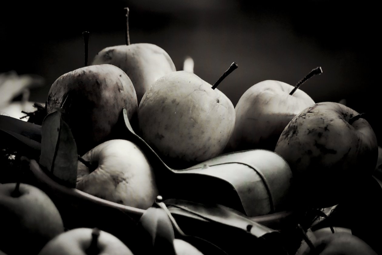 harvest,2019,(photography) 作者 亚历克斯·卡明克