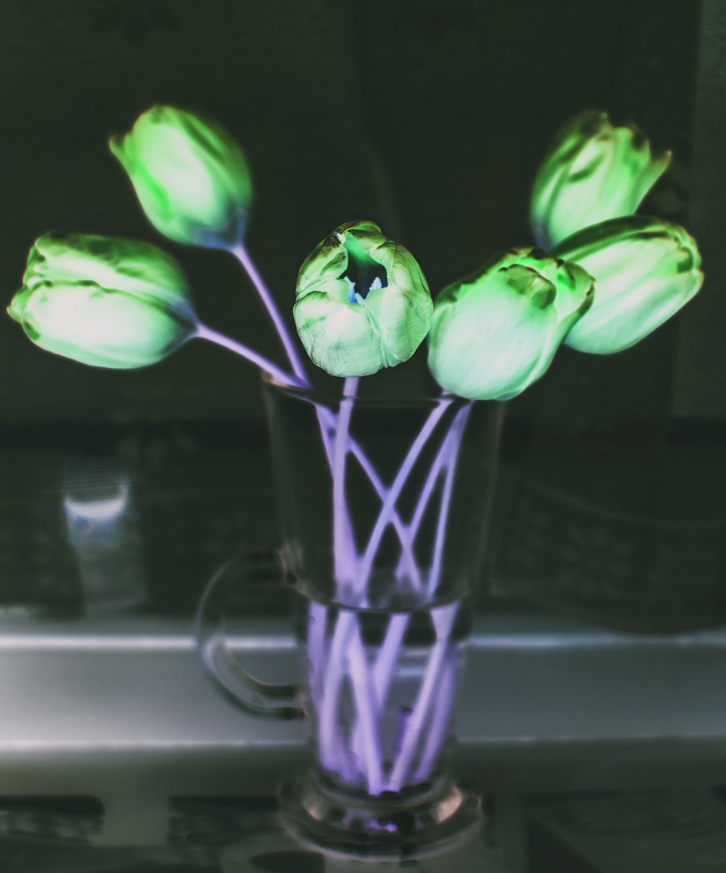 light refraction,2019,(photomanipulation) 作者 亚历克斯·卡明克