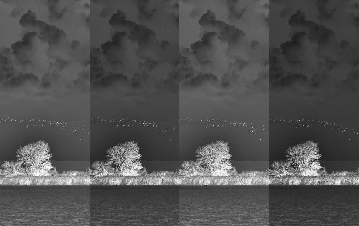 musical segments,2019,(photography) 作者 亚历克斯·卡明克