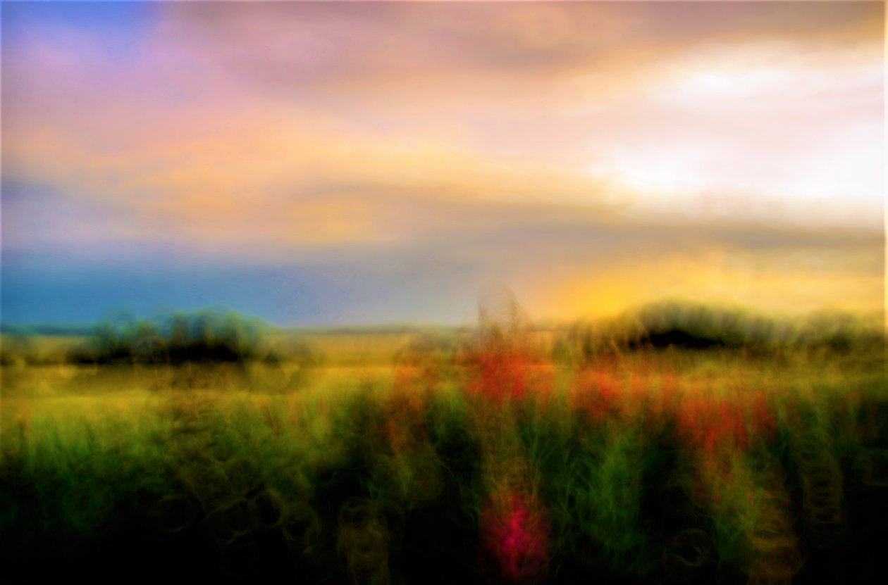 palette,2019,(photography) 作者 亚历克斯·卡明克