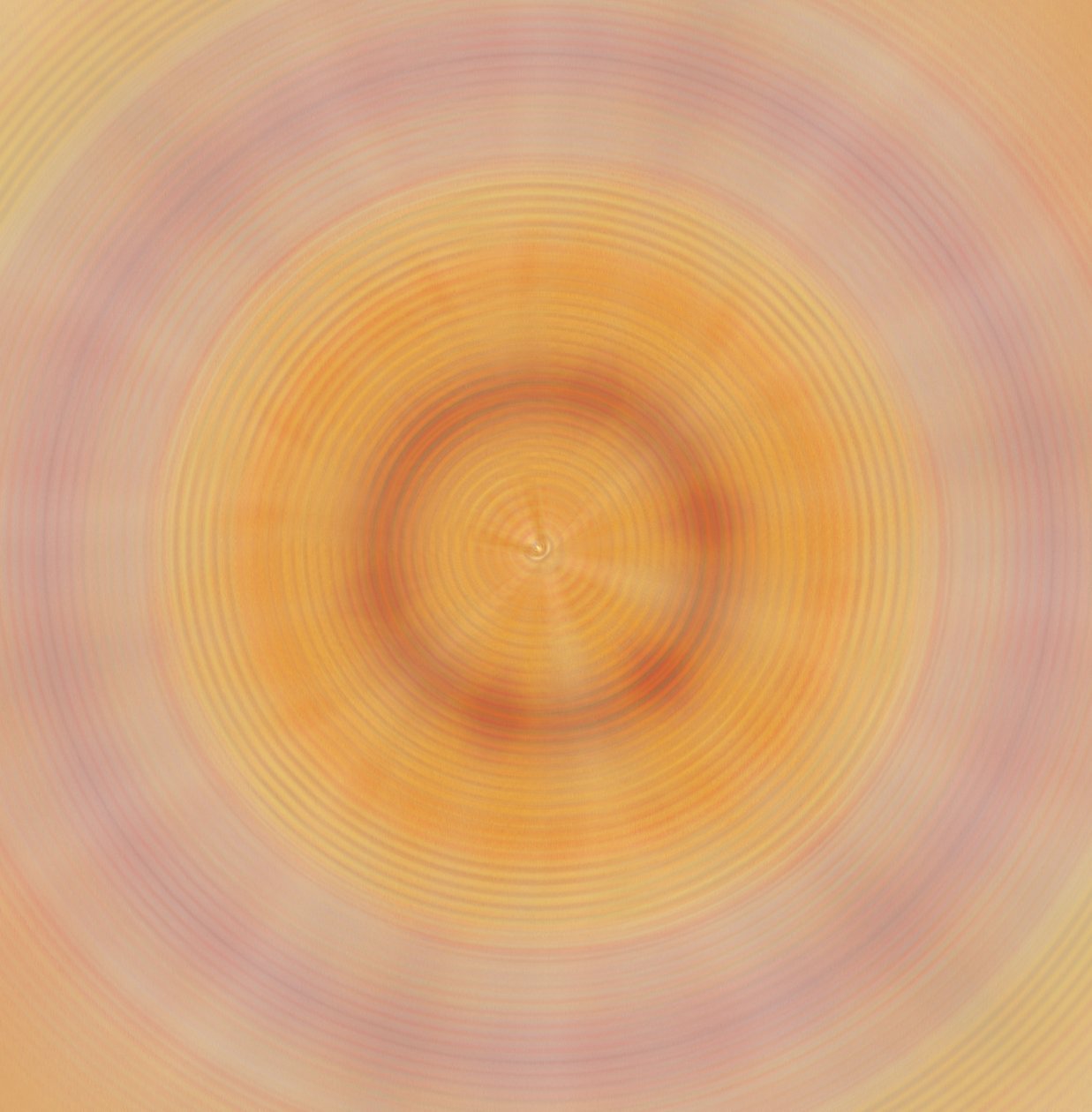 盘子,2019,(混合媒体) 作者 亚历克斯·卡明克
