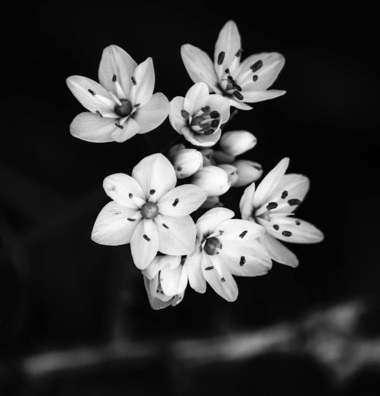 relationship,2019,(photography) 作者 亚历克斯·卡明克