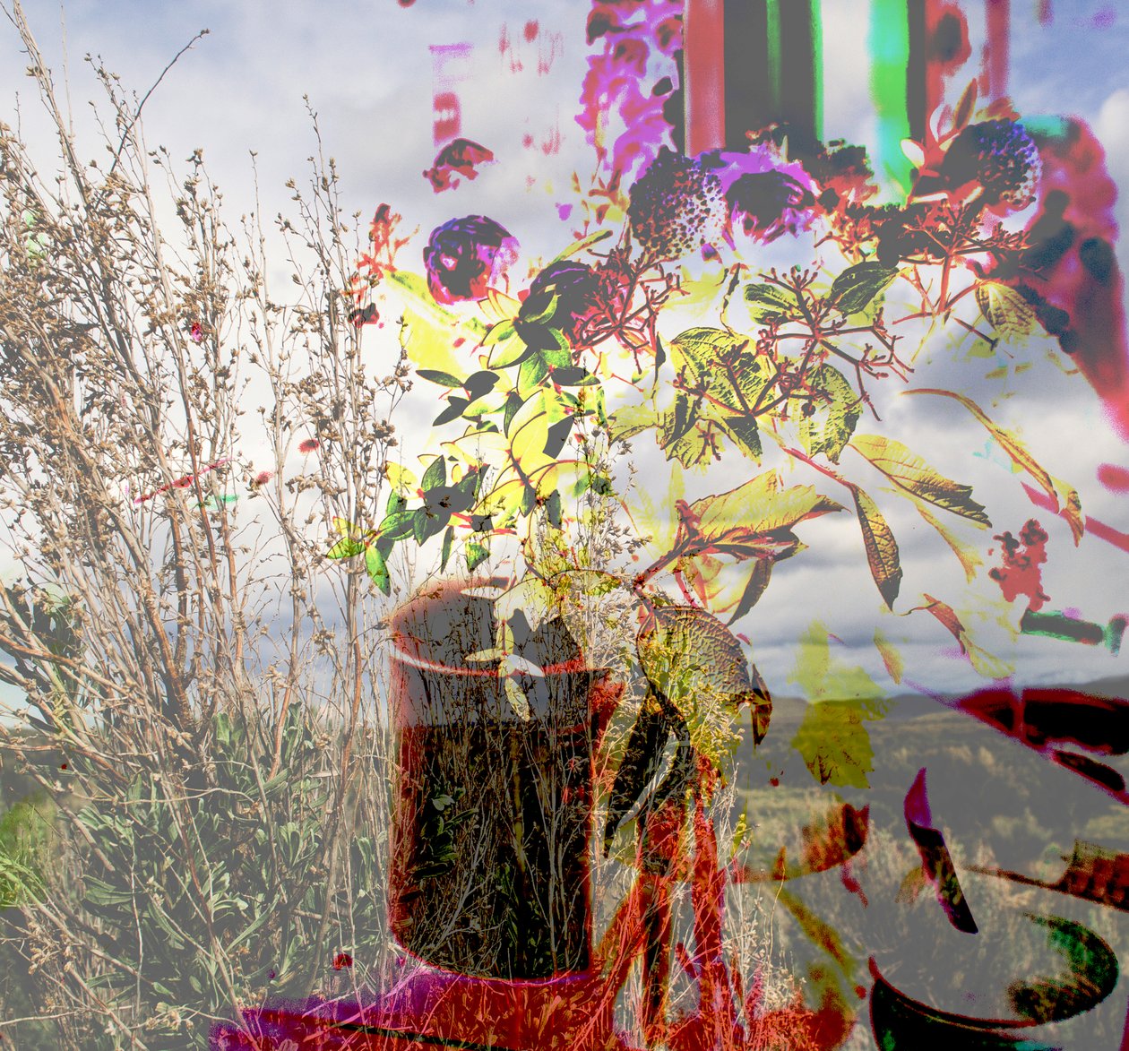 still life,2019,(collage) 作者 亚历克斯·卡明克