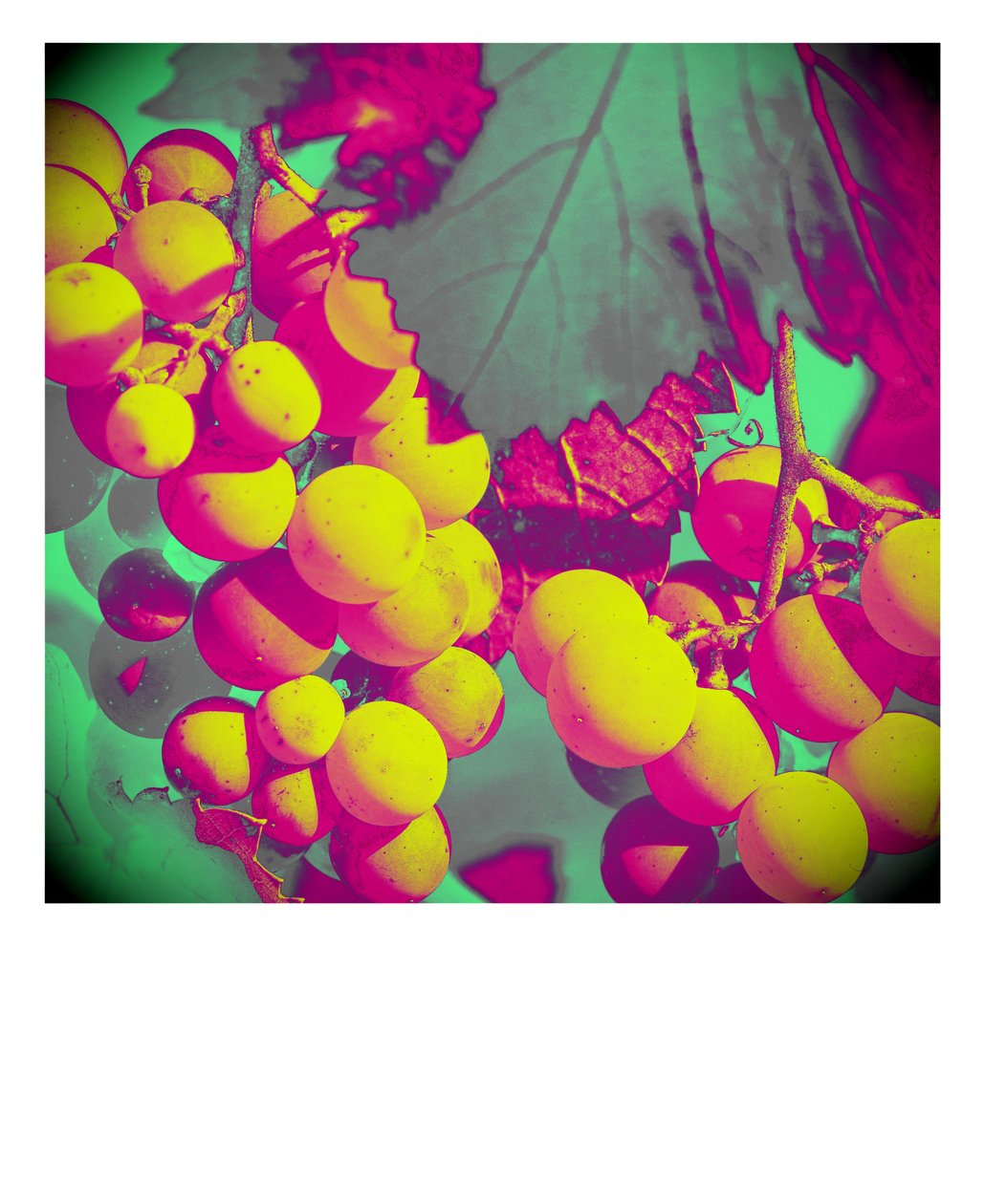 untitled,2019,(photography) 作者 亚历克斯·卡明克