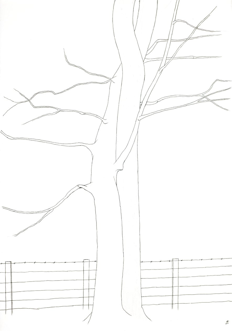 混血儿 作者 亚历克斯·邓恩
