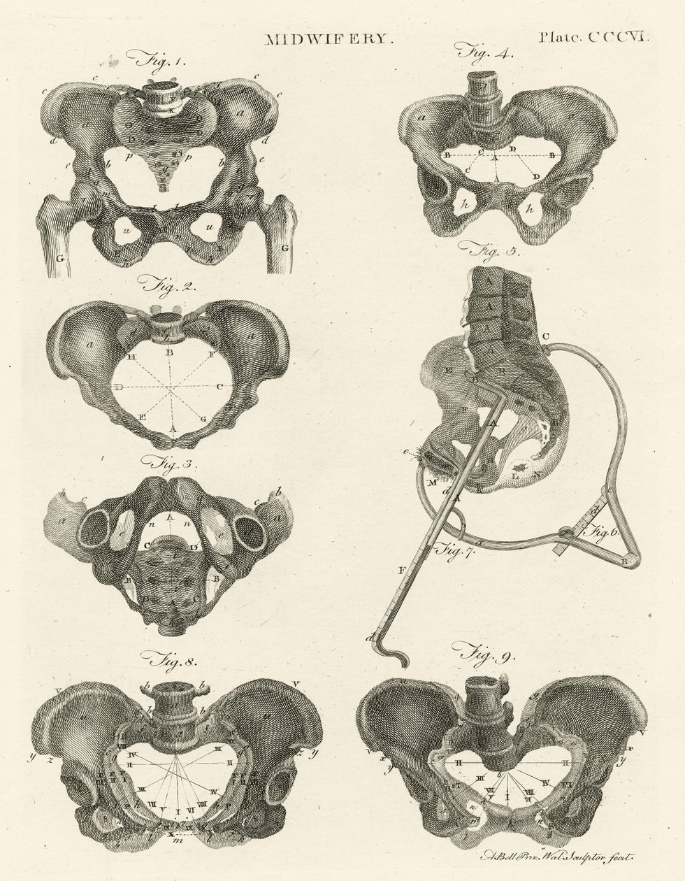 助产士，插图来自&39;Encyclopedia Britannica&39;，于1798年在爱丁堡出版（铜版画） 作者 亚历山大·贝尔