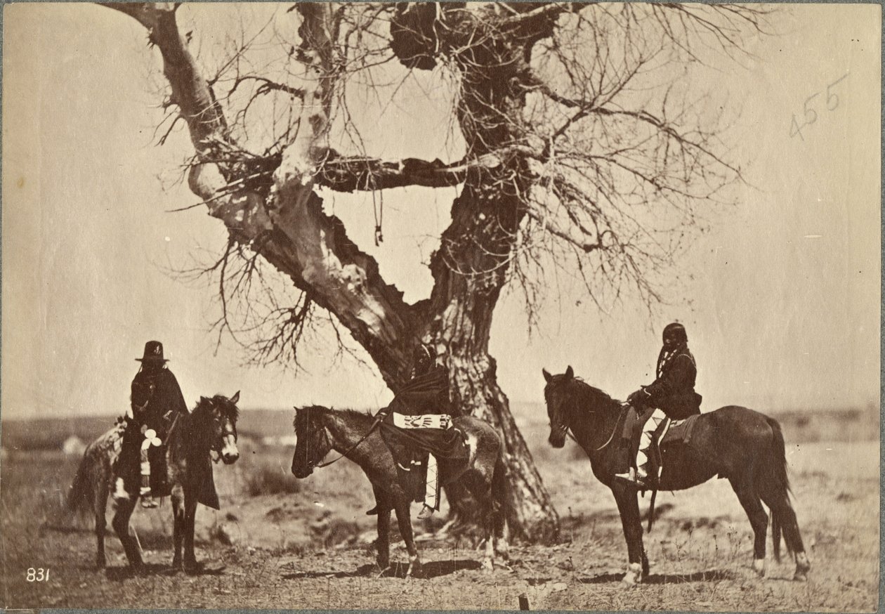 Burial，达科他州，1868年（蛋白印刷品） 作者 亚历山大·加德纳