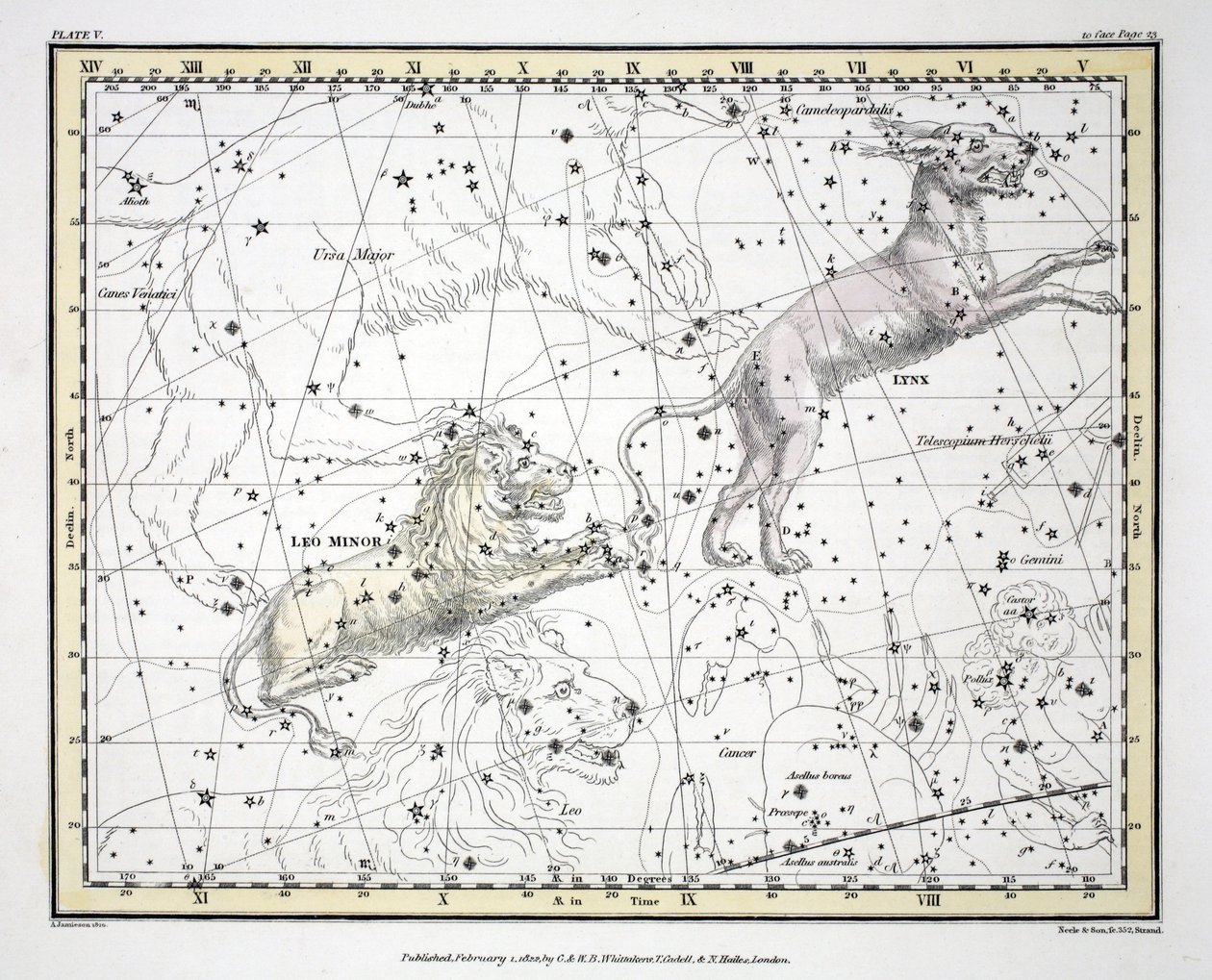 星座（第五版）Lynx，Leo Minor，来自&39;A Celestial Atlas&39;，来自Alexander Jamieson，酒吧。伦敦1822年（手工彩色雕刻）; 作者 亚历山大·杰米森
