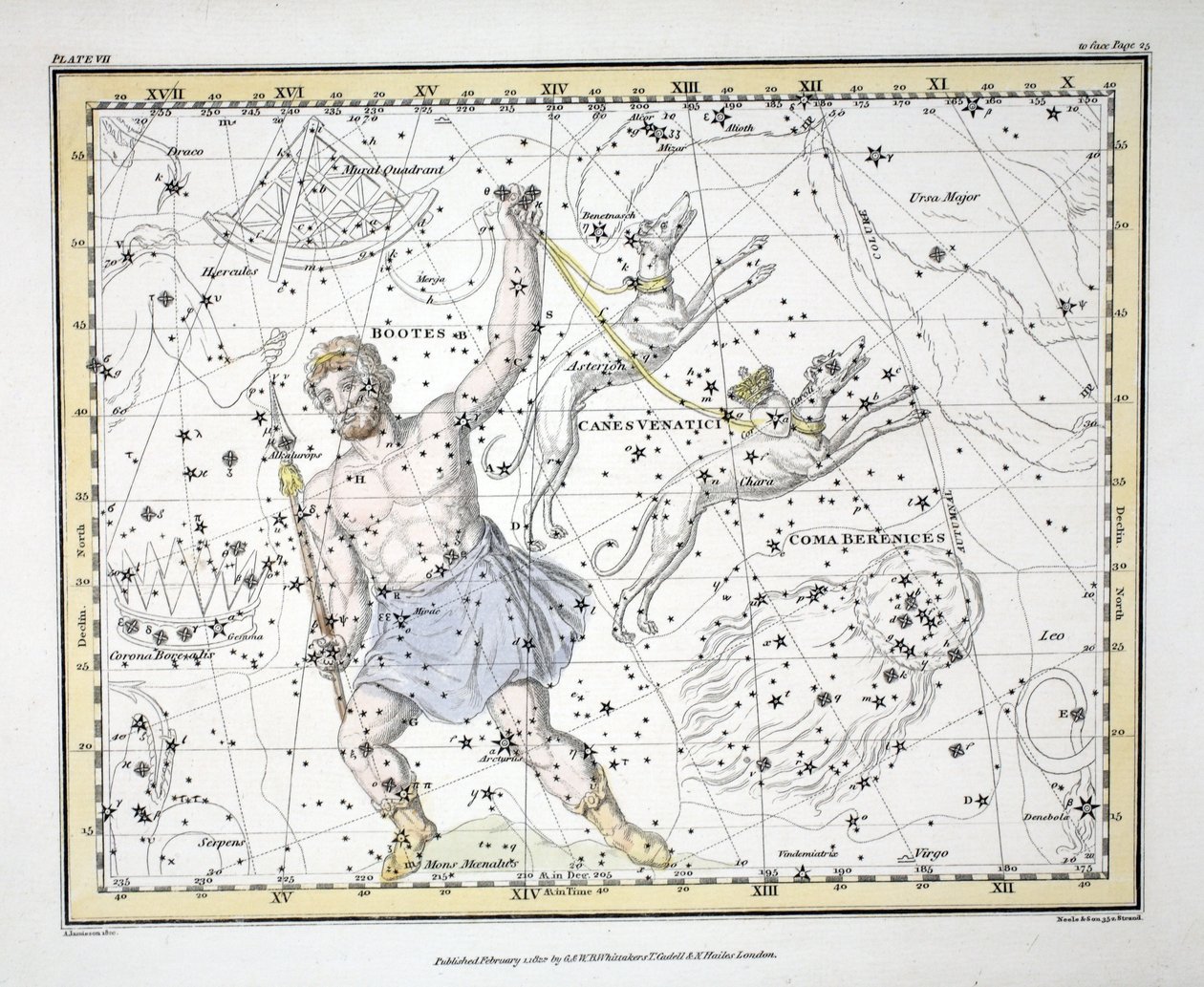 星座（板块VII）靴子和Mons Maenalus，Asterion和Chara或Canes Venatici，Coma Berenices，来自&39;A Celestial Atlas&39;，由Alexander Jamieson，酒吧。伦敦1822年（手工彩色雕刻 作者 亚历山大·杰米森