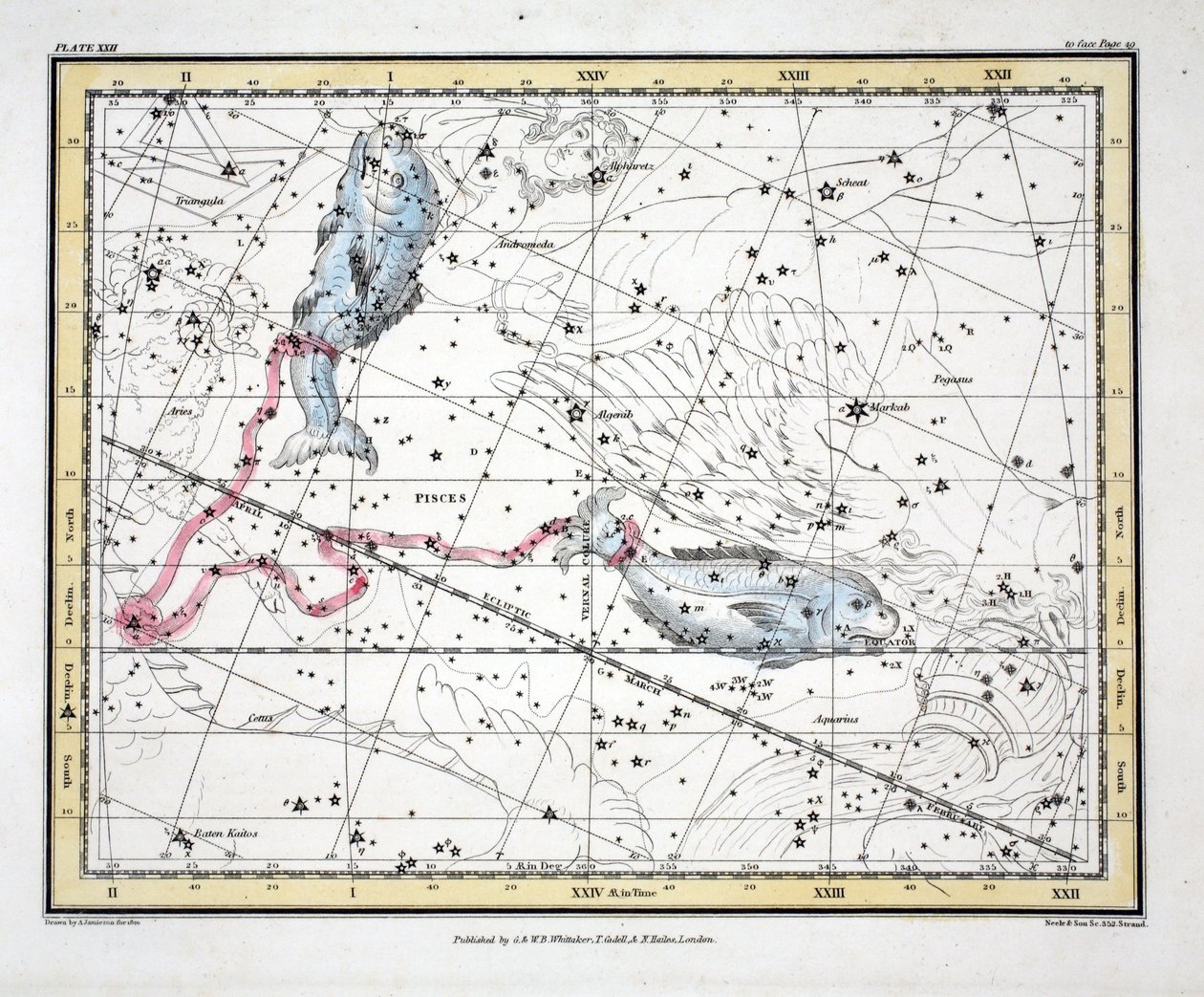 星座（板块XXII）双鱼座，来自&39;A Celestial Atlas&39;，由Alexander Jamieson，酒吧。伦敦1822年（手工彩色雕刻） 作者 亚历山大·杰米森