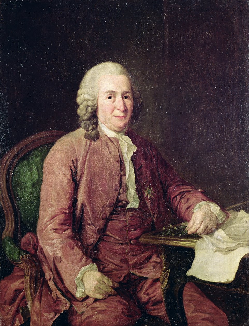 Carl von Linnaeus的肖像（1707-78） 作者 亚历山大·罗斯林
