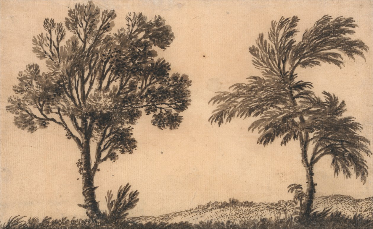 两柳习 作者 亚历山大·科曾斯