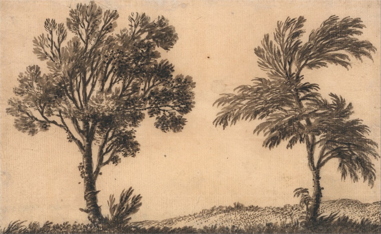 研究两个柳树 作者 亚历山大·科曾斯