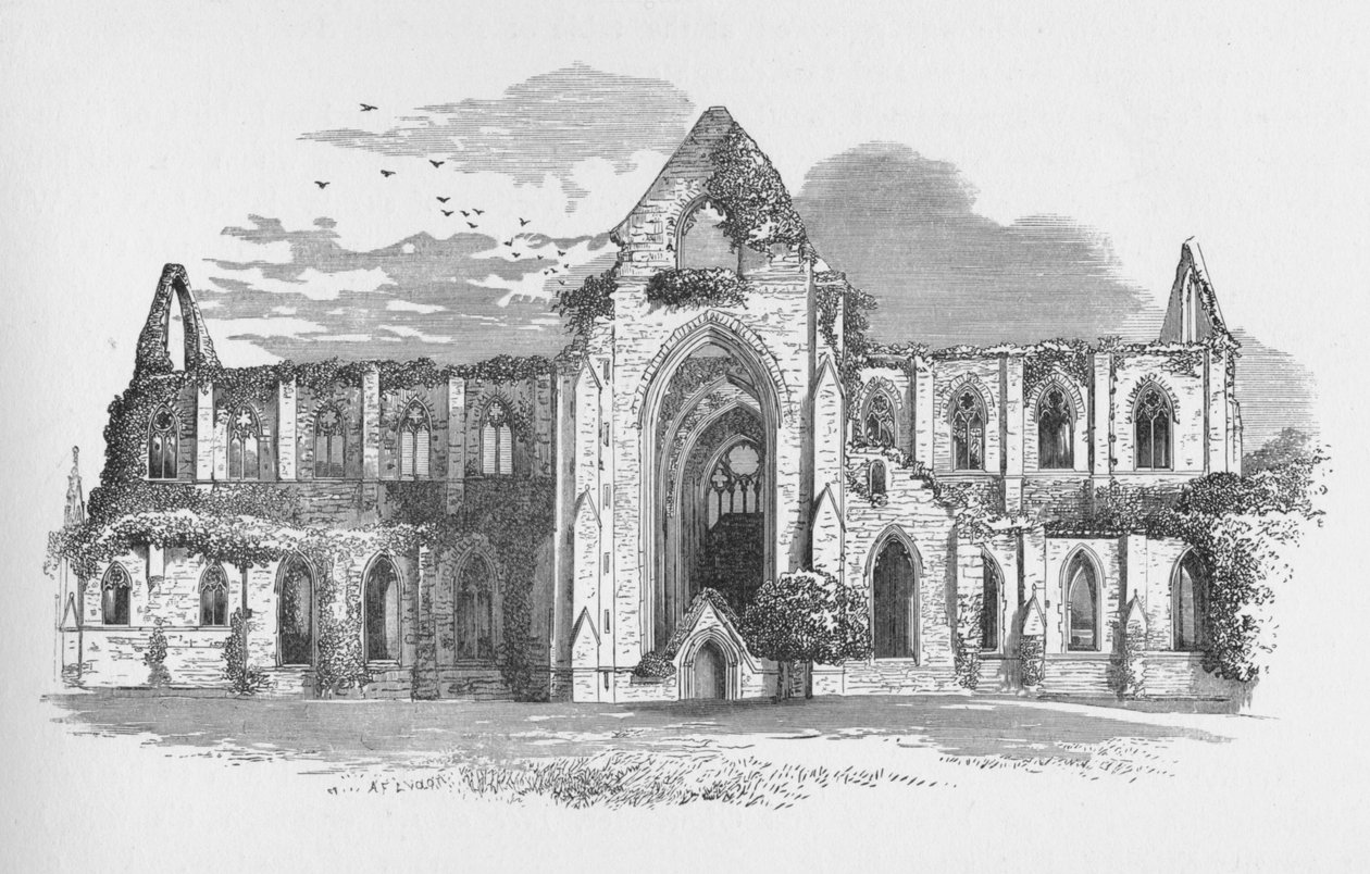廷特恩修道院（Tintern Abbey）从南面来，大约1897年，1897年 作者 亚历山大·弗朗西斯·莱登