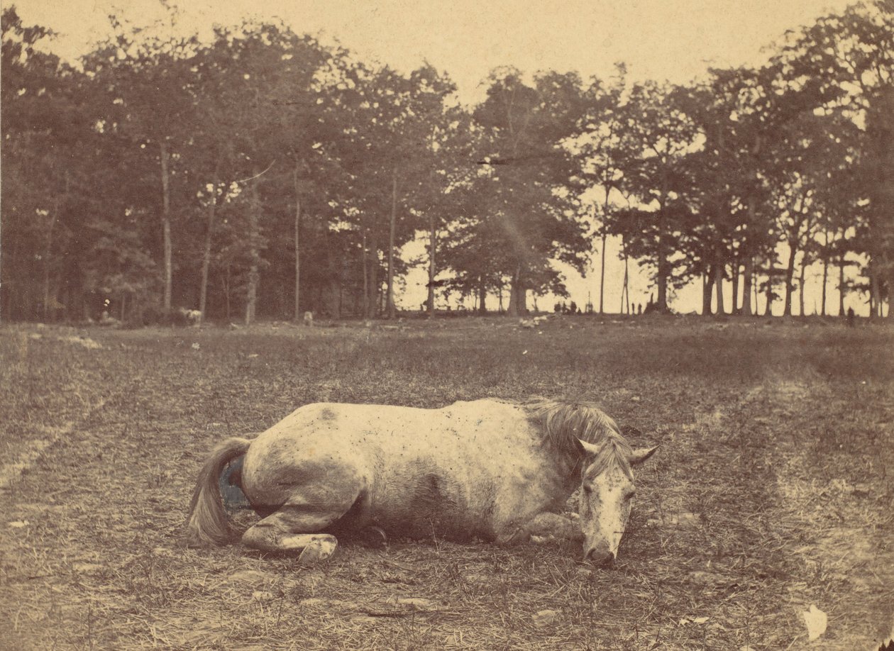 这是死亡吗--安提塔姆战场，1862年9月，1862年。 作者 亚历山大·加德纳