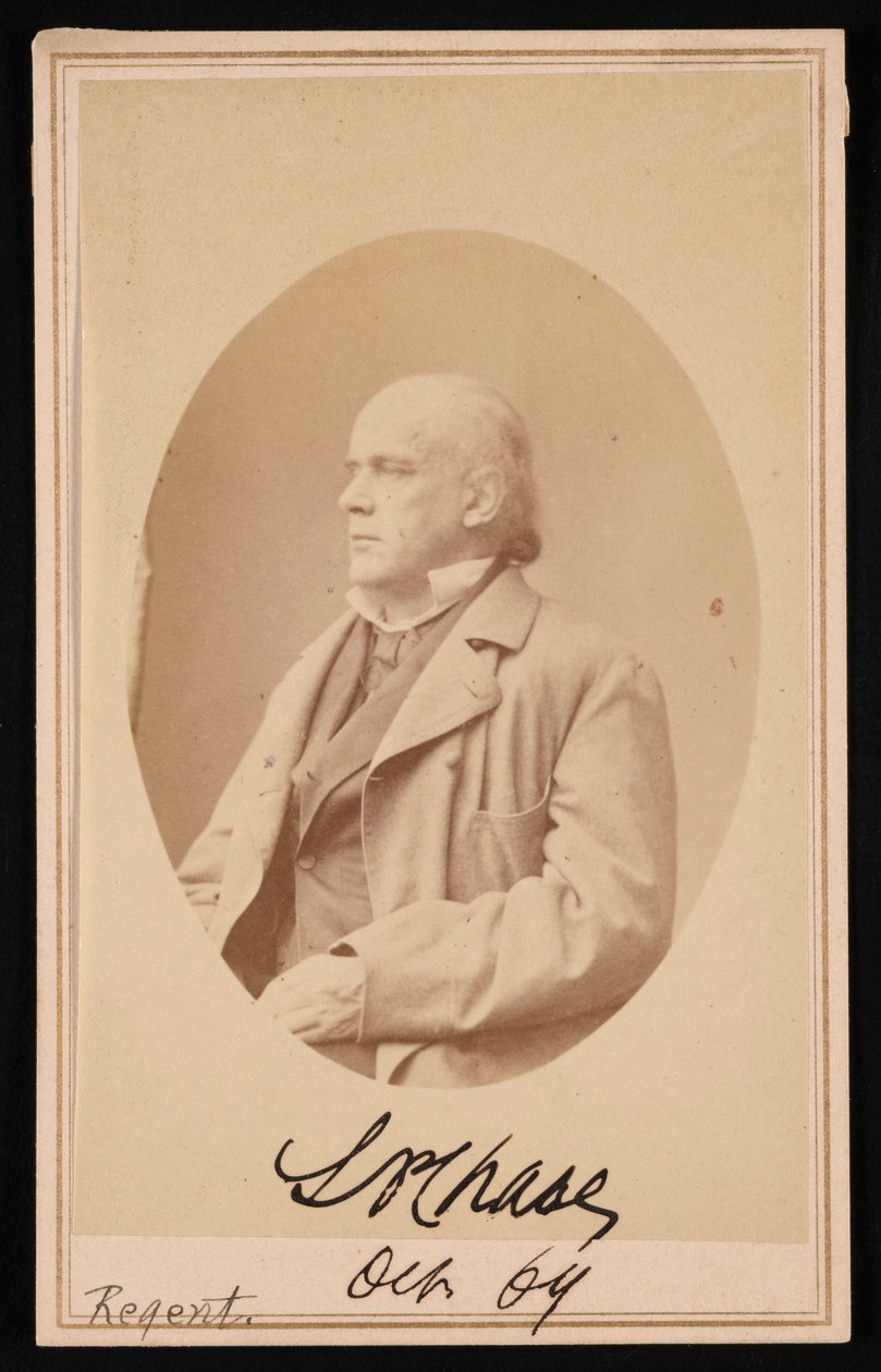 萨尔蒙-波特兰-蔡斯1808-1873的肖像，1864年10月。 作者 亚历山大·加德纳