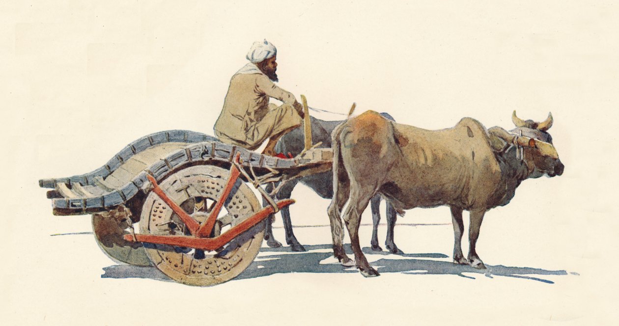 布洛克推车，焦特布尔，c1880年1905年。 作者 亚历山大·亨利·哈勒姆·默里
