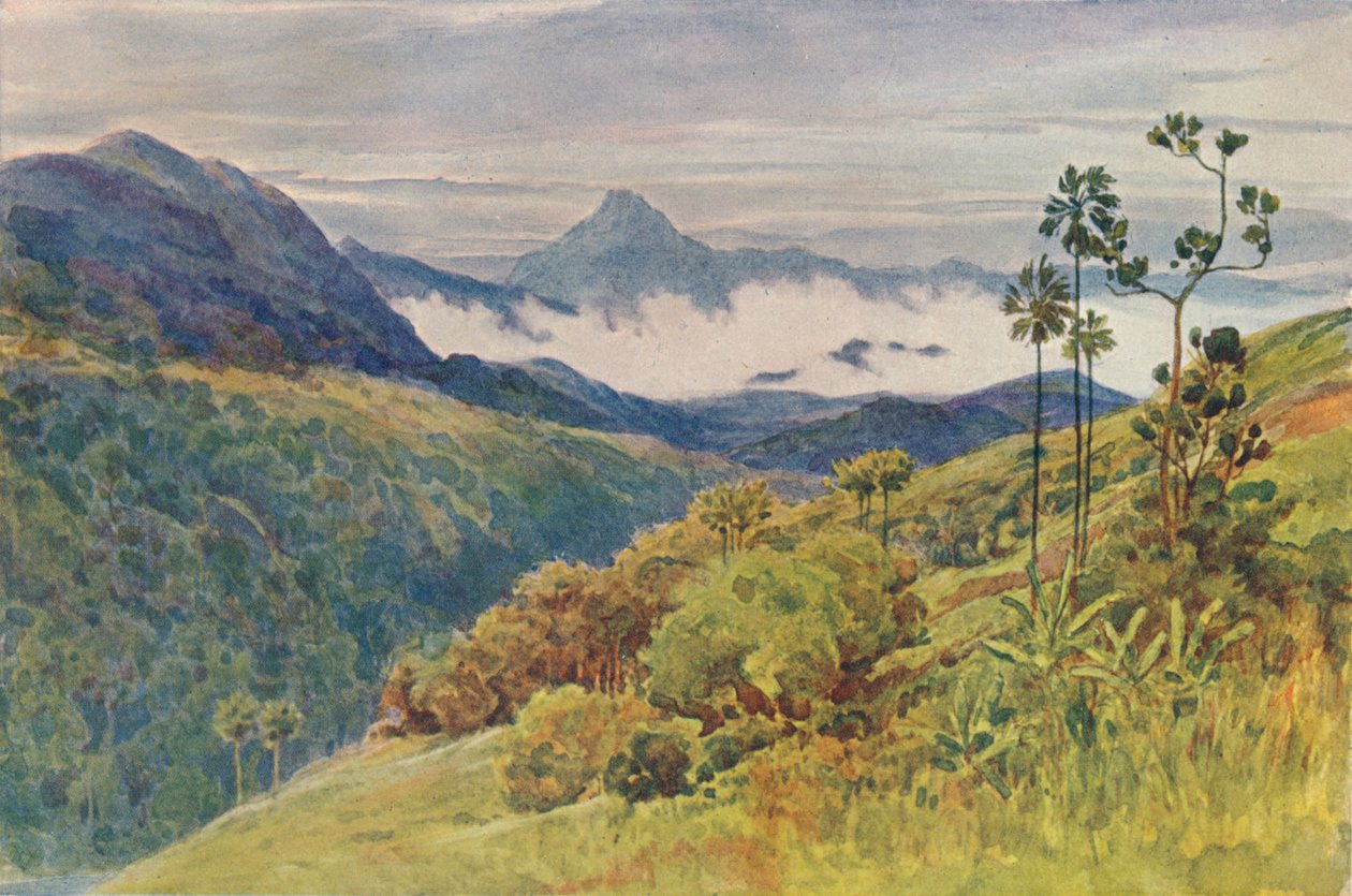 Mahawelli Gangha山谷的晨雾，c1880，1905年。 作者 亚历山大·亨利·哈勒姆·默里