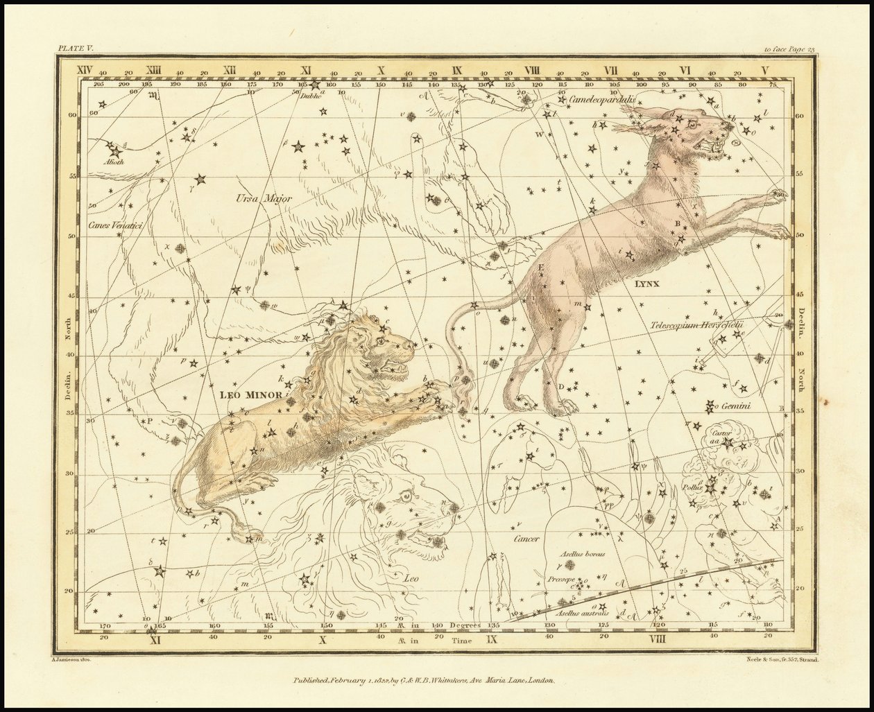 1822 - Alexander Jamieson - Lynx  Leo Minor 作者 亚历山大·杰米森