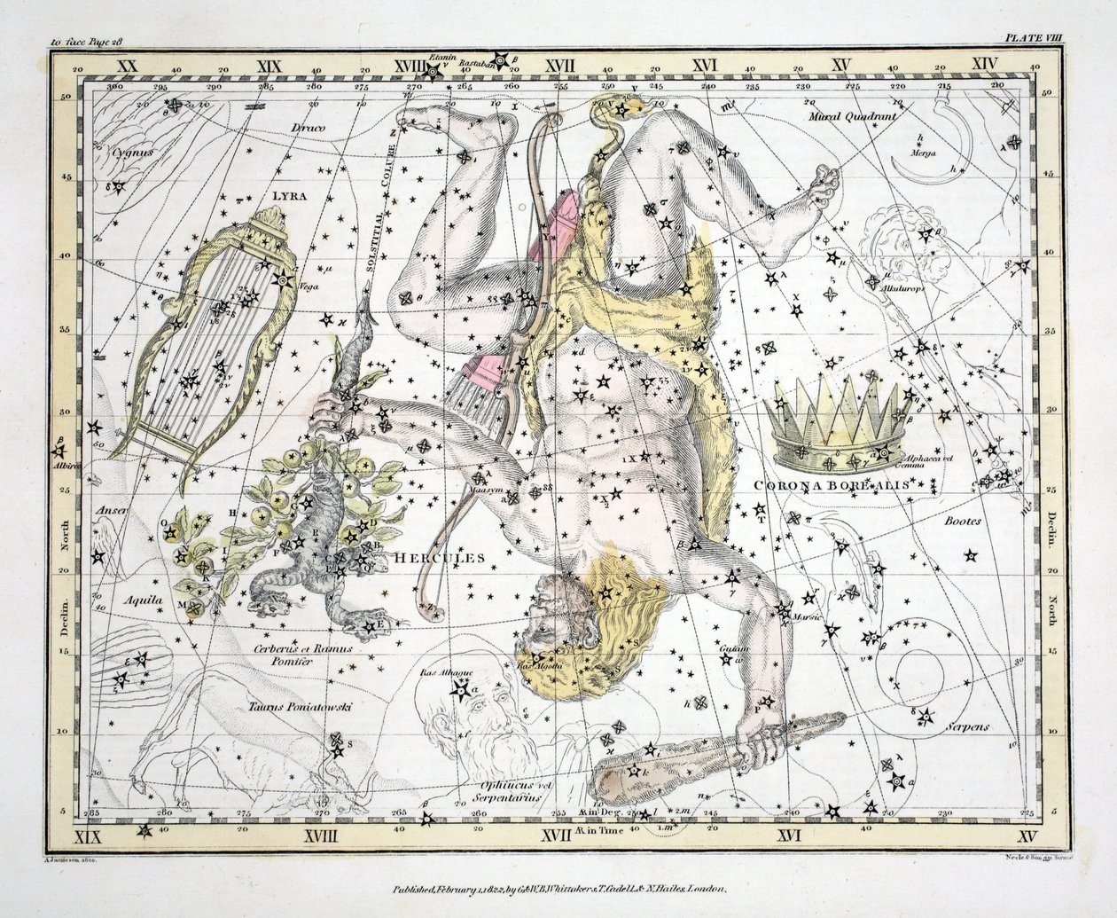 星座（板块VIII）Coronoa Borealis，Hercules和Cerberus，Lyra，来自&39;A Celestial Atlas&39;，由Alexander Jamieson，酒吧。伦敦1822年（手工彩色雕刻） 作者 亚历山大·杰米森