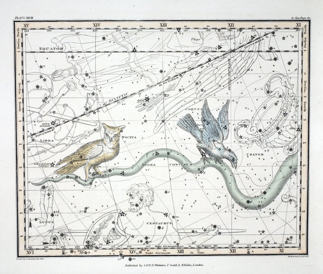 星座（板XXVII）Hydra Continua，Crater，Covus，Centaurus et Lupus，来自&39;A Celestial Atlas&39;，由Alexander Jamieson，酒吧。伦敦1822年（手工彩色雕刻） 作者 亚历山大·杰米森