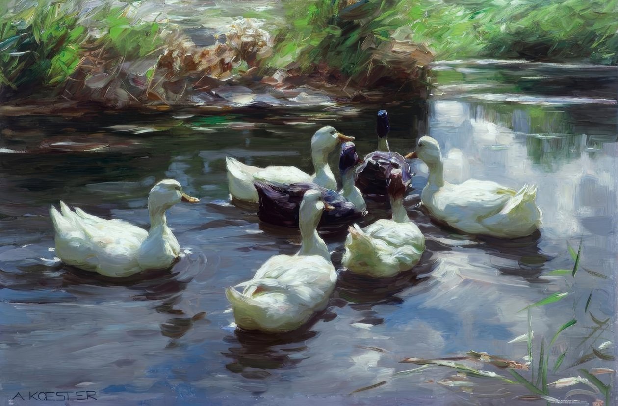 科斯特（A.Koester），池塘里的鸭子 作者 亚历山大·科斯特