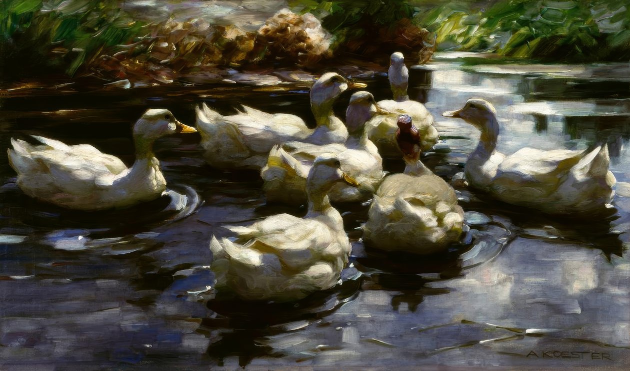 科斯特（A.Koester），池塘里的鸭子 作者 亚历山大·科斯特