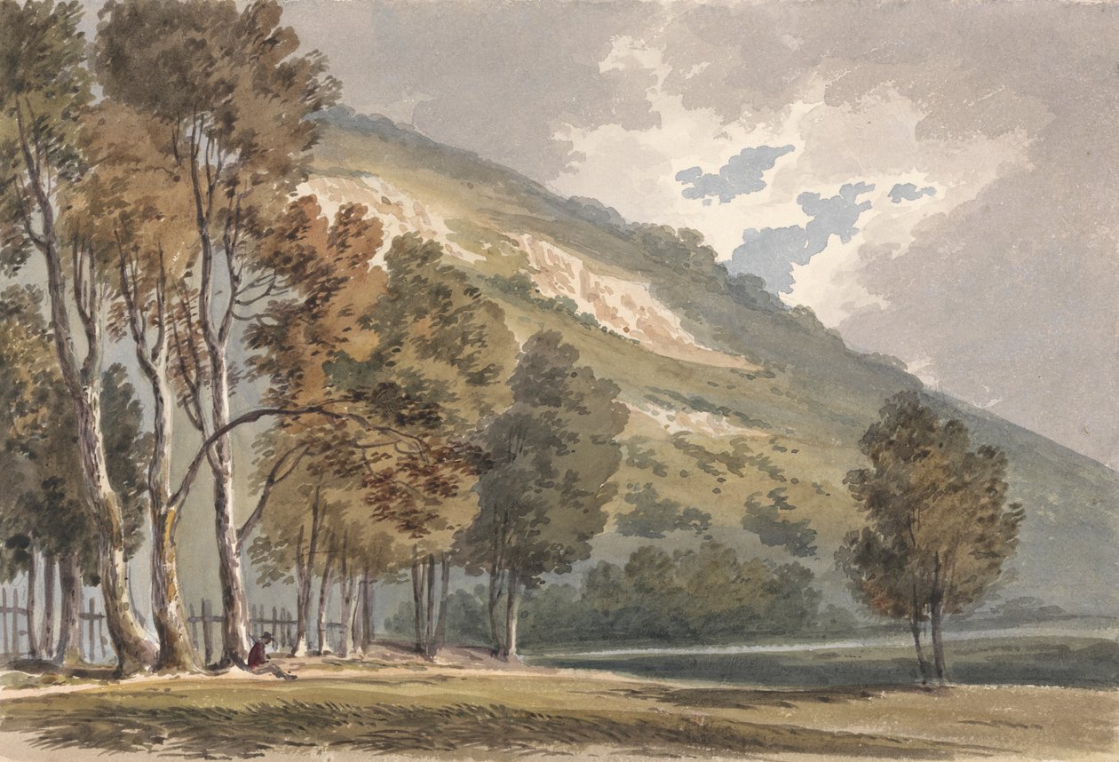 萨里 Boxhill 的景观 作者 亚历山大门罗