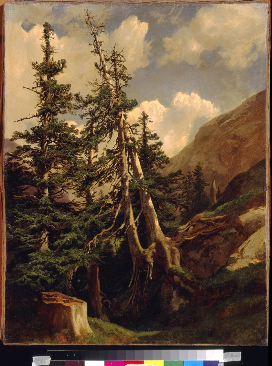 Calame, Alexandre (1810-1864) 的山中冷杉。 布面油画，尺寸：68,5x53。 国家 A. 普希金美术博物馆，莫斯科 作者 亚历山大卡拉梅