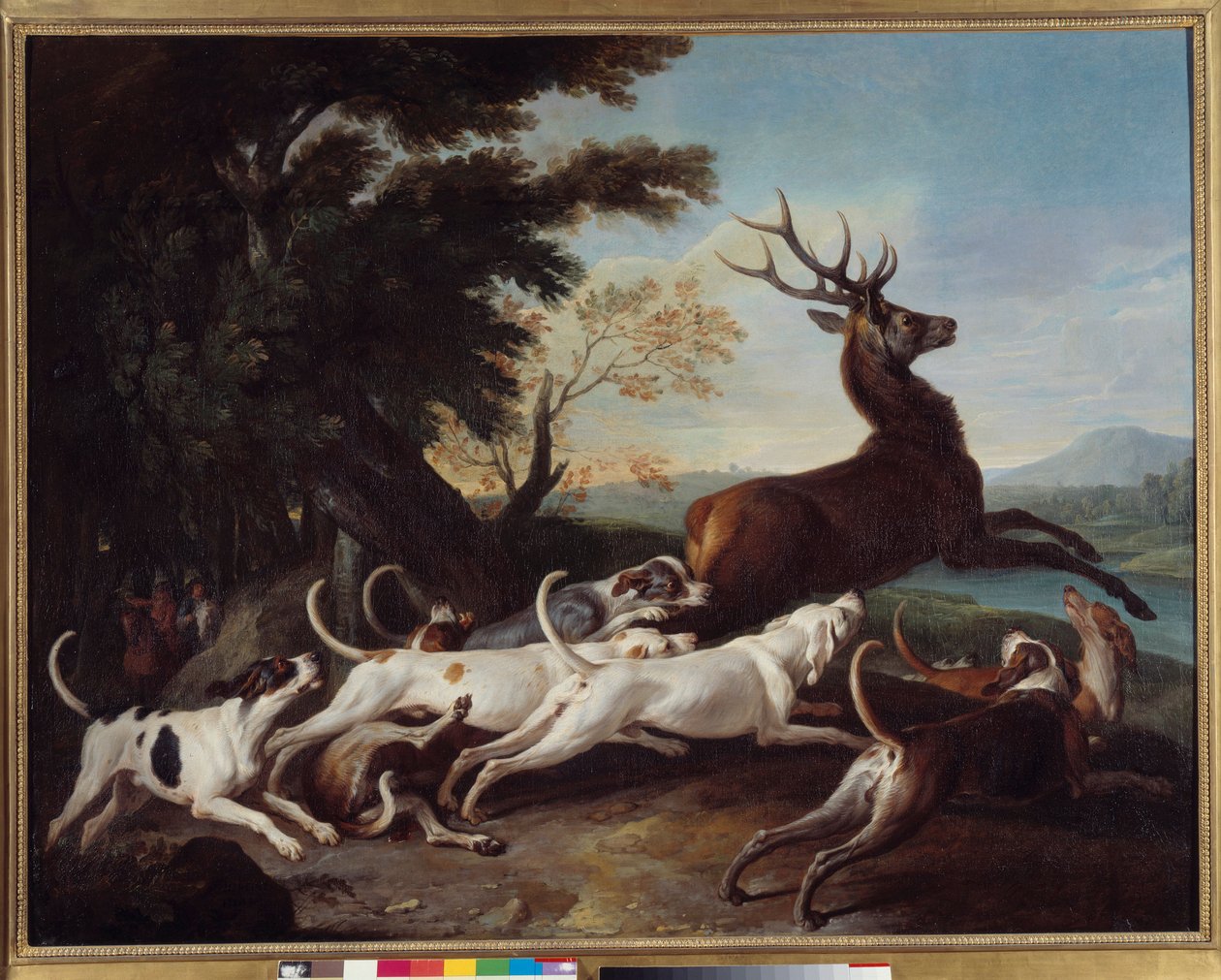 狩猎：“Debuche du deer” Francois Desportes (1661-1743) 1718 年作画。 1.1x1.45 米鲁昂，美术博物馆 作者 亚历山大·弗朗索瓦·德斯波特