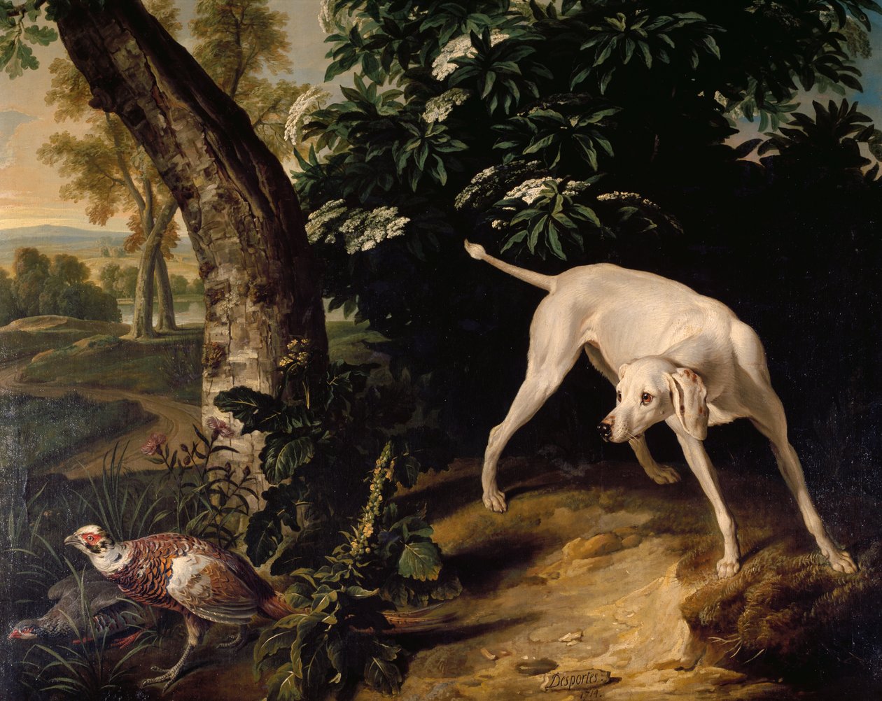 狩猎场景，Alexandre-Francois Desportes（1661-1743）的绘画细节，法国 作者 亚历山大·弗朗索瓦·德斯波特