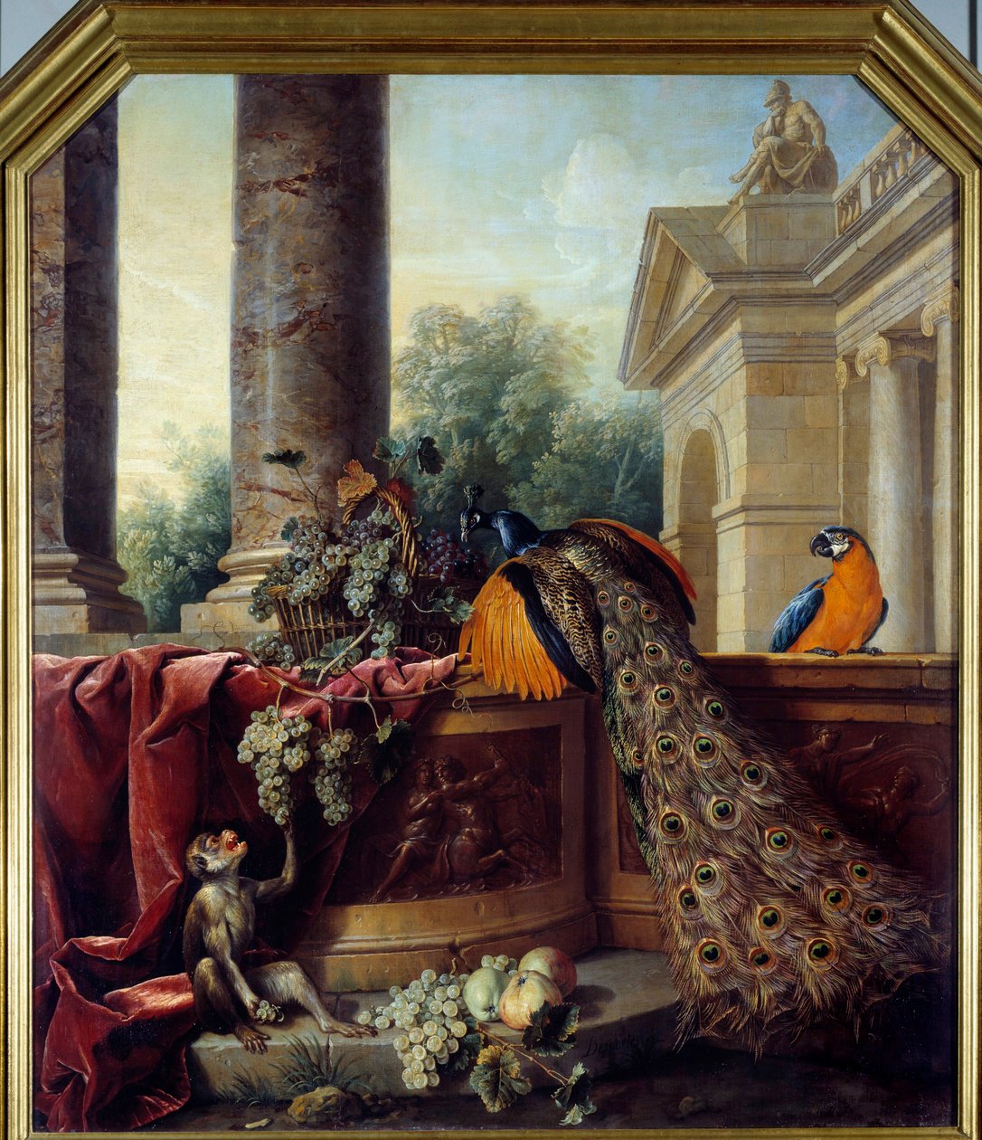 静物画：孔雀 鹦鹉，猴子和成串的葡萄。Francois Desportes (1661-1743)的画作 18世纪 太阳。2,05x1,8米 里昂，艺术博物馆 作者 亚历山大·弗朗索瓦·德斯波特