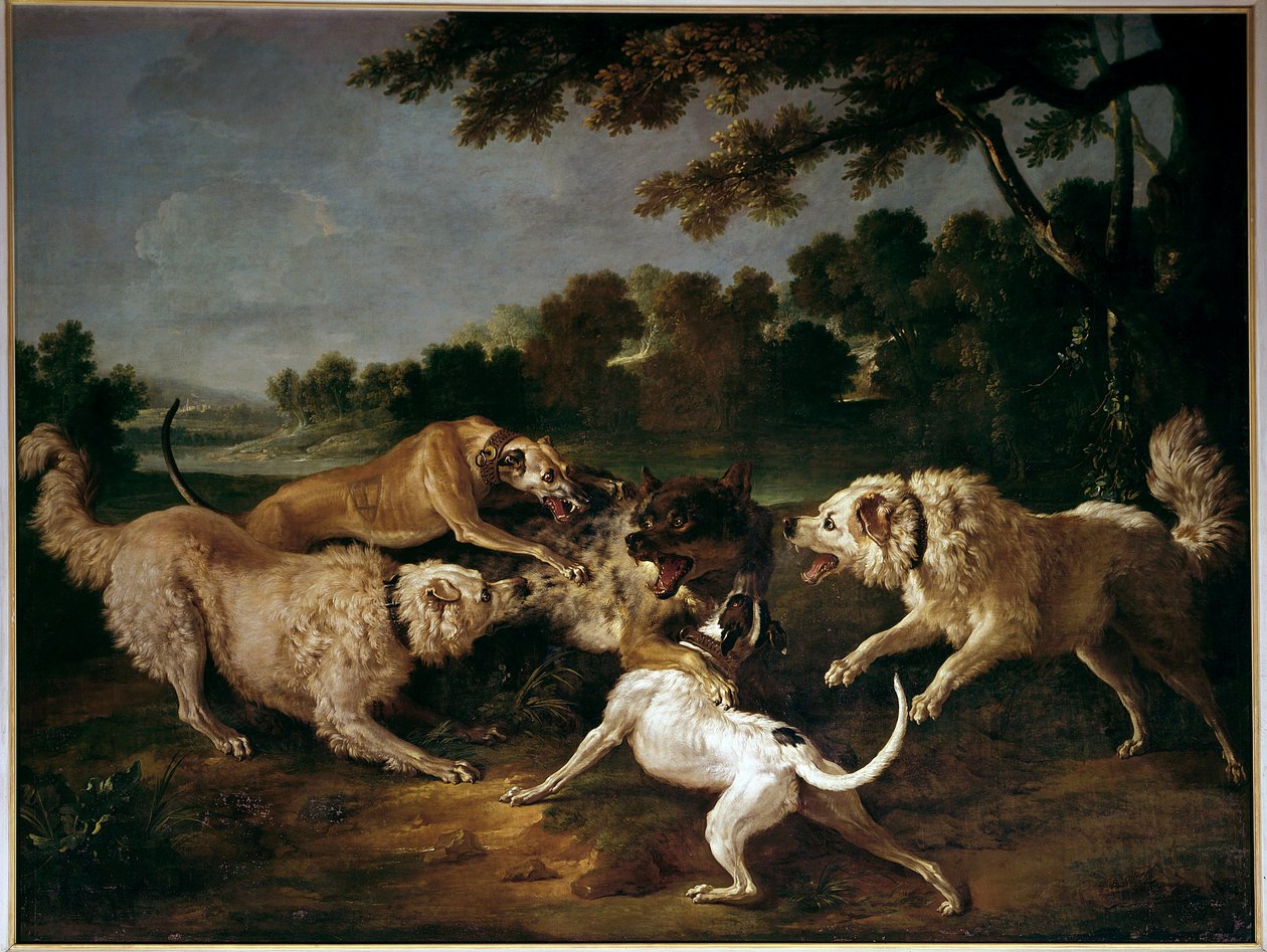 弗朗索瓦·德斯波特斯 (Francois Desportes) 的猎狼画 (1661-1743) 作者 亚历山大·弗朗索瓦·德斯波特
