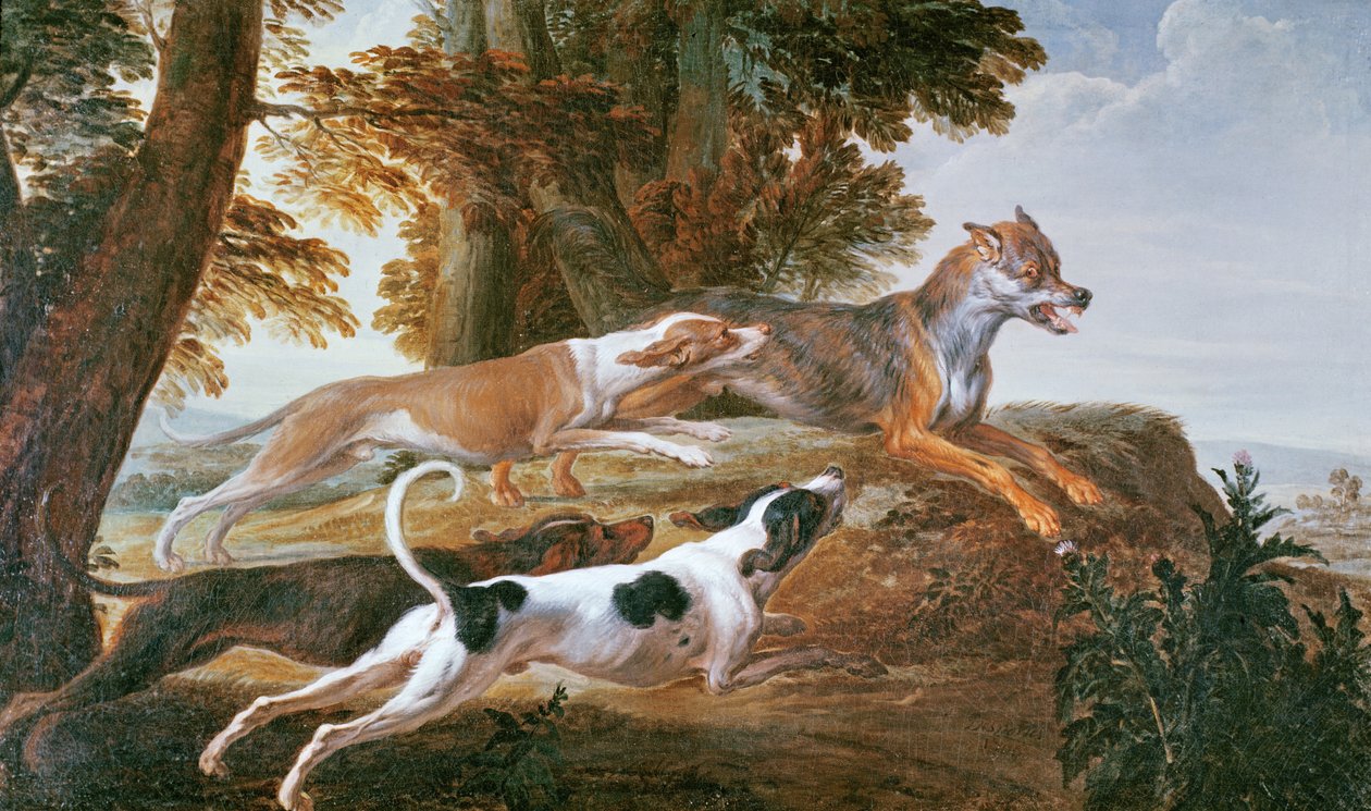 狼狩猎，1720年 作者 亚历山大·弗朗索瓦·德斯波特