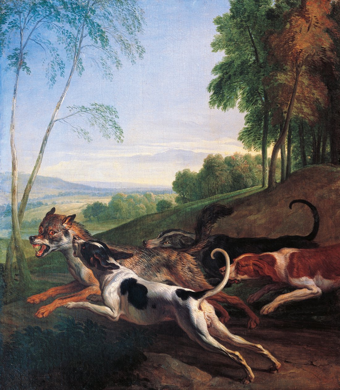 猎狼，亚历山大·弗朗索瓦·德斯波特斯 (1661-1743) 作画，法国 作者 亚历山大·弗朗索瓦·德斯波特