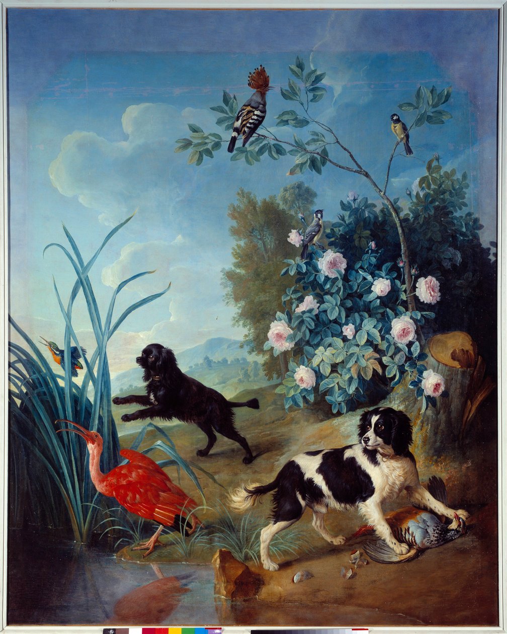 Zerbine 和 Jemite，路易十四国王的狗 Francois Desportes (1661-1743) 1739 年贡比涅国家城堡博物馆的绘画 作者 亚历山大·弗朗索瓦·德斯波特