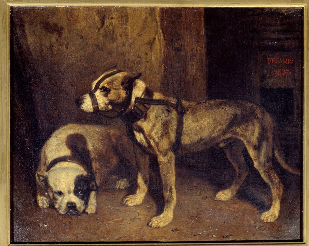 Scottish Bulldog and Terrier Painting by Alexandre Gabriel Decamps (1803-1860) 19th century Sun. 1,04x1,34 m 作者 亚历山大·加布里埃尔·戴尚