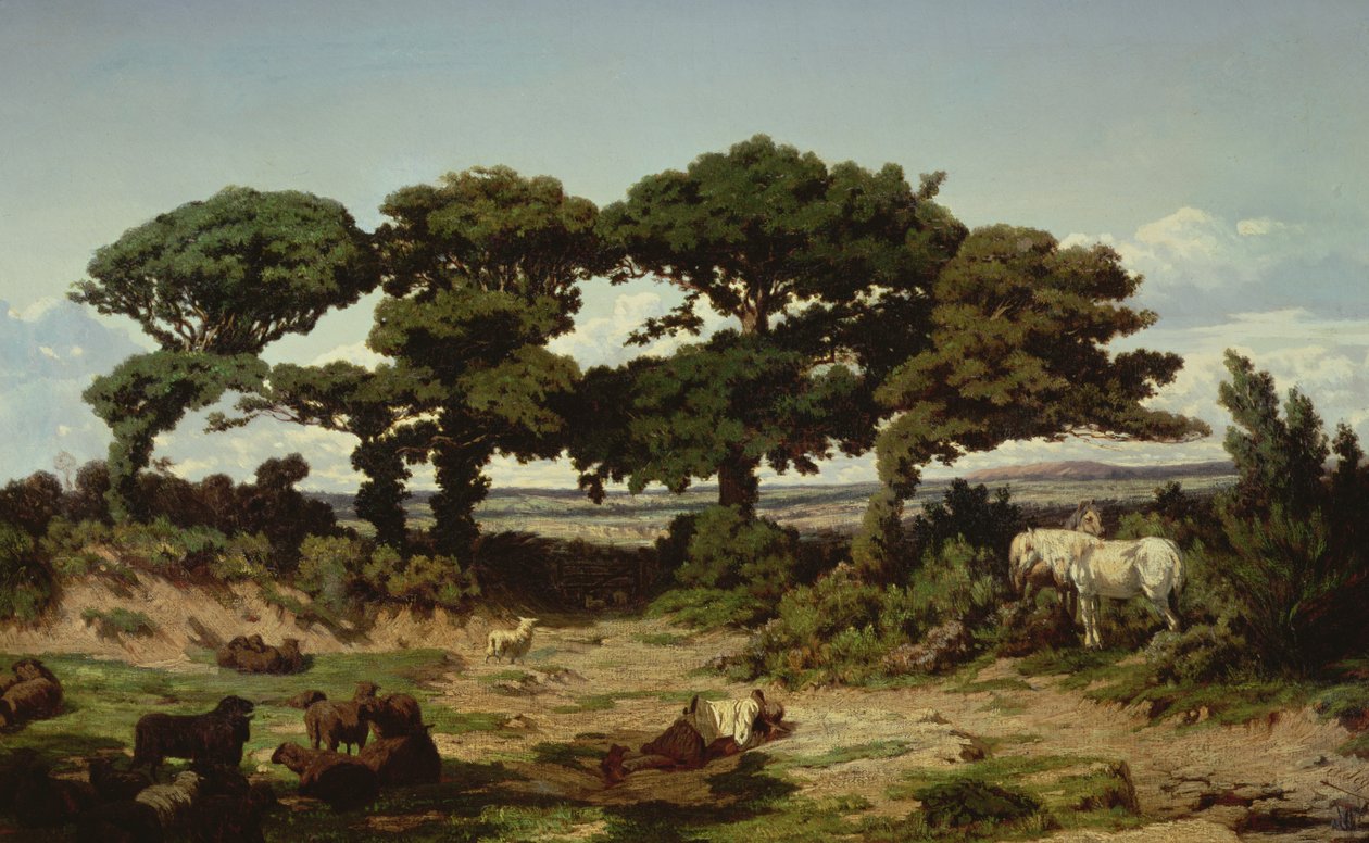 Kertregonnec的橡树，c.1869-70 作者 亚历山大·塞格（Alexandre Sege）