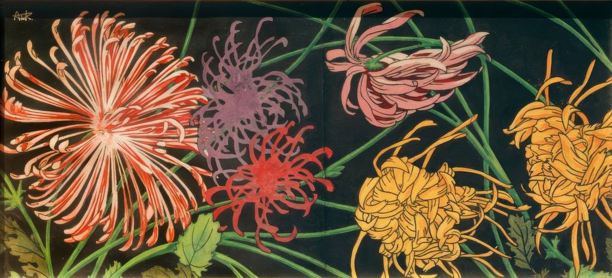 菊花 作者 亚历山大·德·里克尔和英格拉达