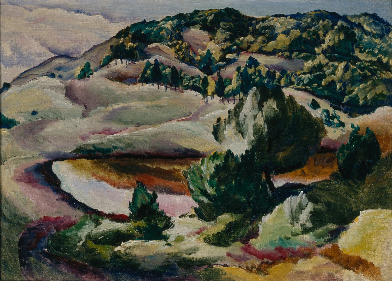 科罗尔科夫斯基耶大夏。山上的池塘，1918年 作者 阿列克谢·伊里奇·克拉夫琴科