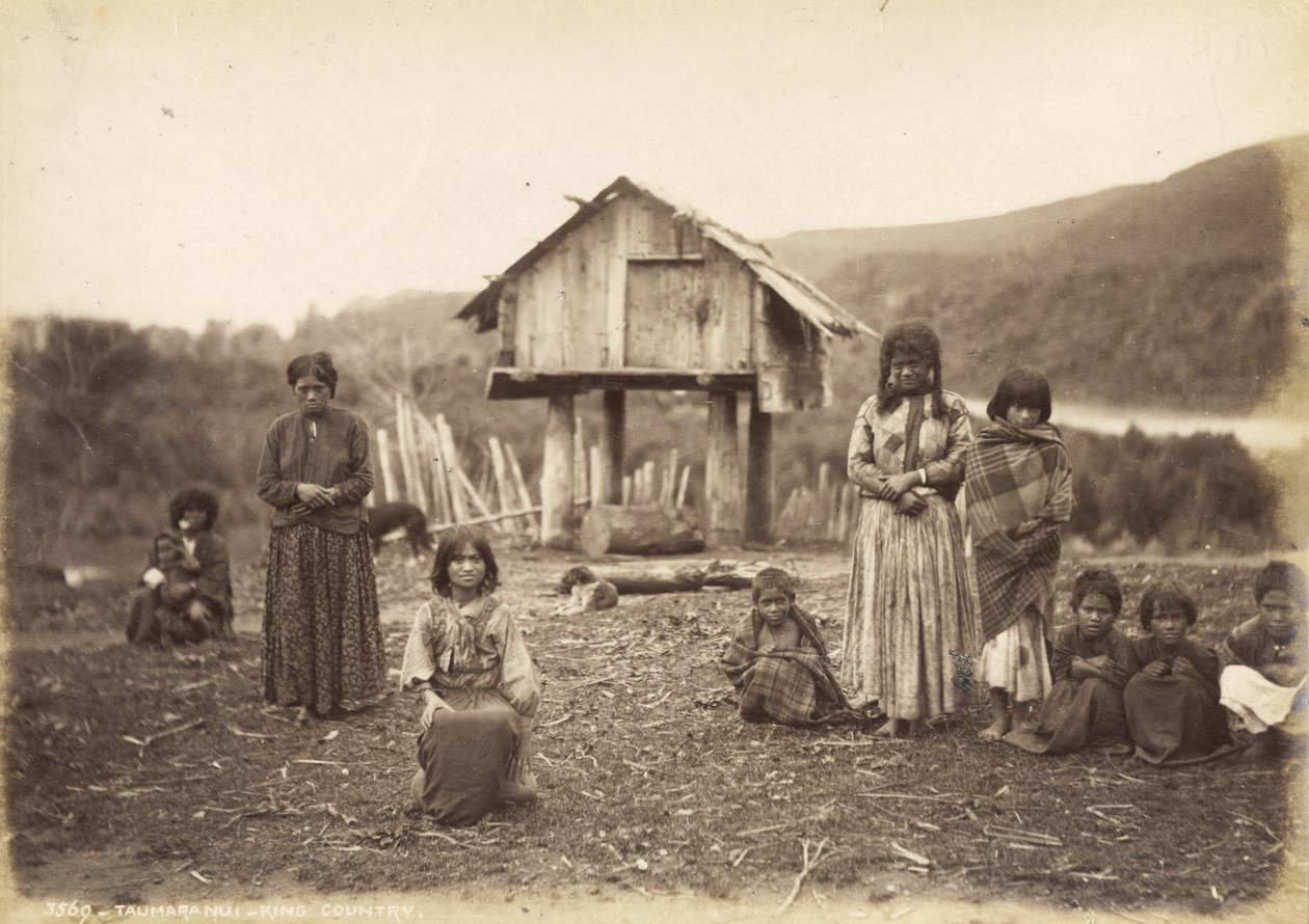 Taumaranui  -  King Country，1885年5月29日（蛋白印刷品） 作者 阿尔弗雷德·伯顿
