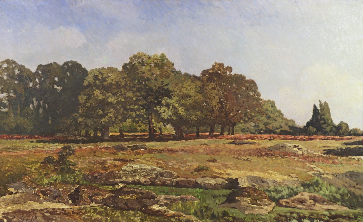 在La Celle-Saint-Cloud的栗树大道，c.1866-67 作者 阿尔弗雷德·西斯利